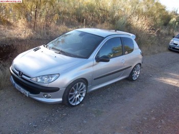 Peugeot 206 gti