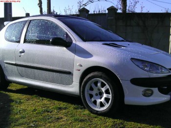 Peugeot 206 gti ( fase i )