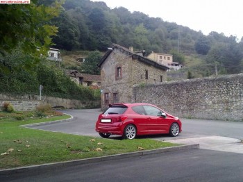 207 rc (se vende o cambia)