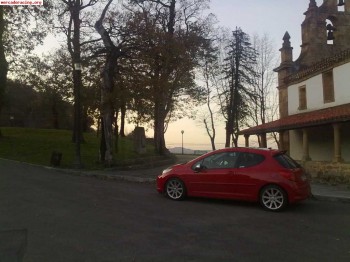 207 rc (se vende o cambia)