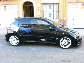 Peugeot 206 rc  (180 cv) kit wrc .