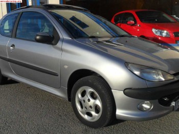 Peugeot 206 hdi xs 90cv