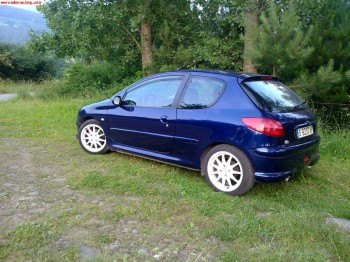 Peugeot 206 2.0 xs diesel