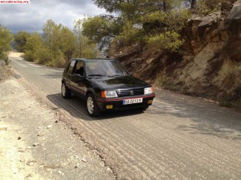 Peugeot 205 gti 