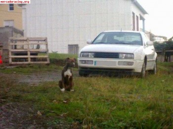 Cambio por coche de competicion....