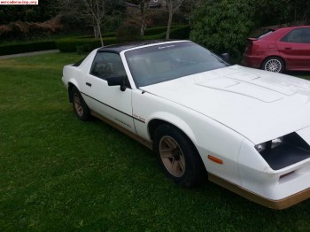 Vendo camaro