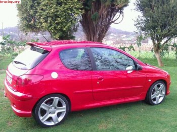 Se vende 206 gti!!!!!!!