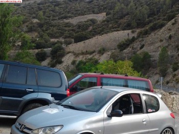 Peugeot 206 gt edicion limitada