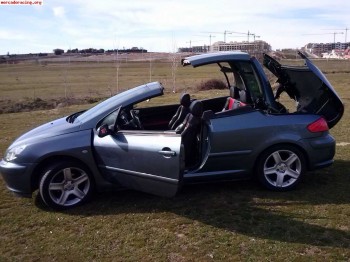 307 cc  2.0 136cv  5490e libro