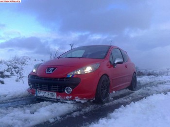 Peugeot 207 rc 8500 e