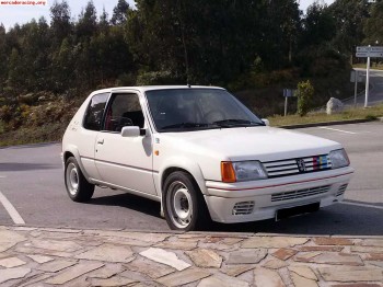 Peugeot 205 rallye.