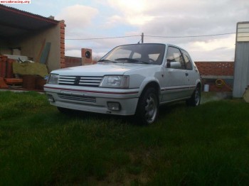 205 gti -- economico--