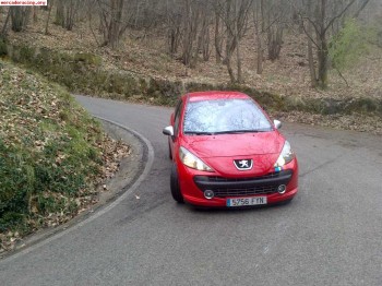 Peugeot 207 rc