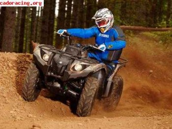 Cambio quad yamaha grizly 450 x coche