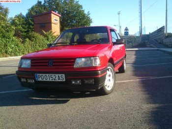 309 gti 