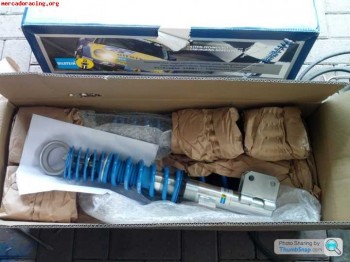 Susupensiones bilstein pss b14