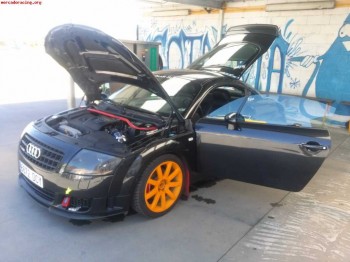 Audi tt 1.8t 250cv