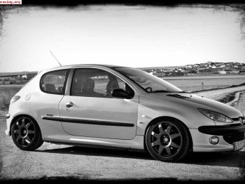Peugeot - 206 gti