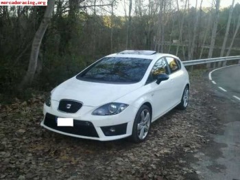 Seat leon 265 cv 2010