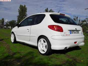 Se vende o cambia peugeot 206 xs