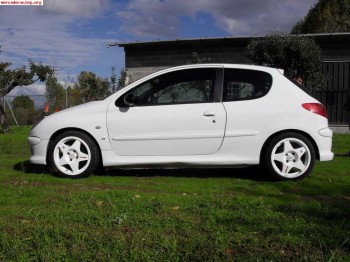 Se vende o cambia peugeot 206 xs