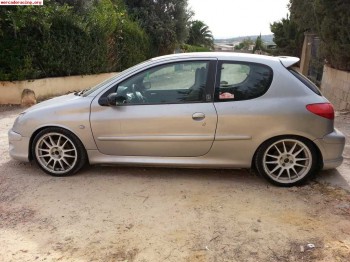 Peugeot 206 gt edicion limitada