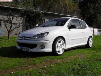 Se vende o cambia peugeot 206 xs