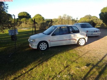 106 rallye