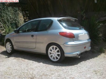 Peugeot 206 xs 1.6 16v 110cv del 2001