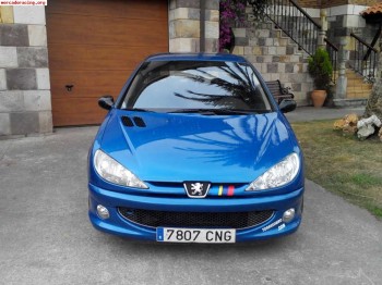 Vendo o cambio peugeot 206 gti impecable