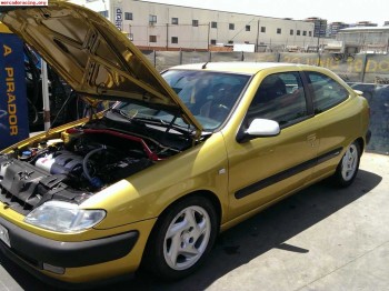 Xsara vts