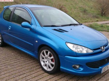 Peugeot 206 xs 1.4 16v 90cv