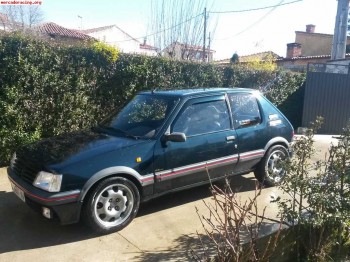 205 gti