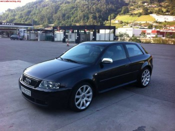 Audi s3 8l