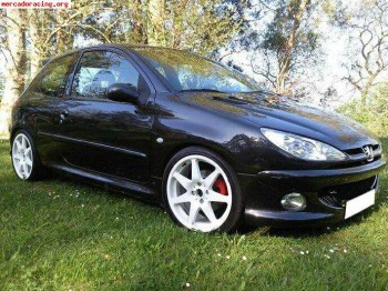 Peugeot 206 1.6 16v xs