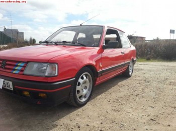 Peugeot 309 1.9 gti 130cv