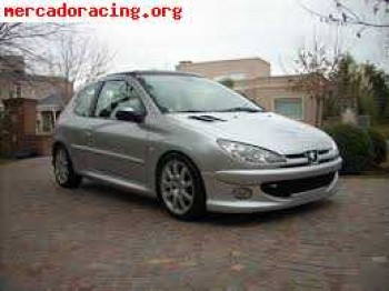 Peugeot 206 gti fase 1