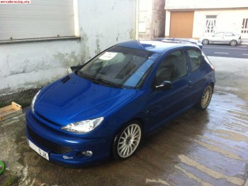 Vendo/cambio 206 gti