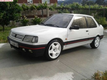 Peugeot 309 gti