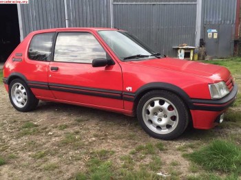 Peugeot 205 gti impoluto