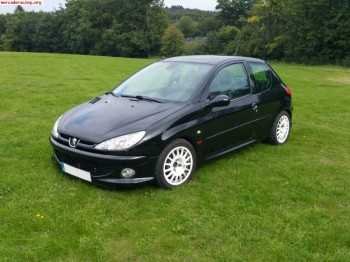Peugeot 206 gti 2.0 16v preparación rc con mucho material