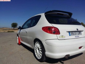 Peugeot 206 gti fase 1 