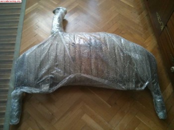 Escape y muelles renault clio sport 197