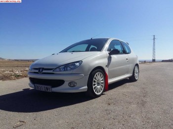 Peugeot 206 gti fase 1 