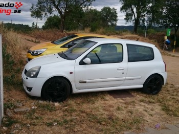Clio sport 172 cv