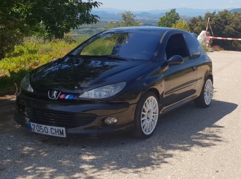 Peugeot 206 xs