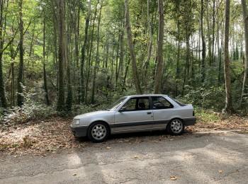 Peugeot 309 gti 16v