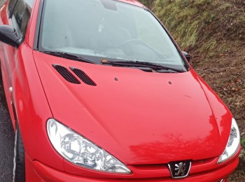 Peugeot 206 xsi 