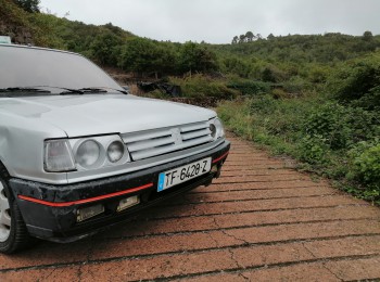 Peugeot 309 gti 