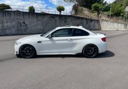 Bmw m2 dkg performance